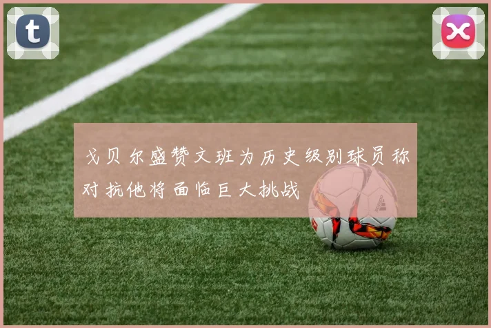 戈贝尔盛赞文班为历史级别球员称对抗他将面临巨大挑战
